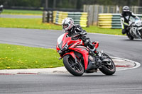 Lower Group Red Bikes